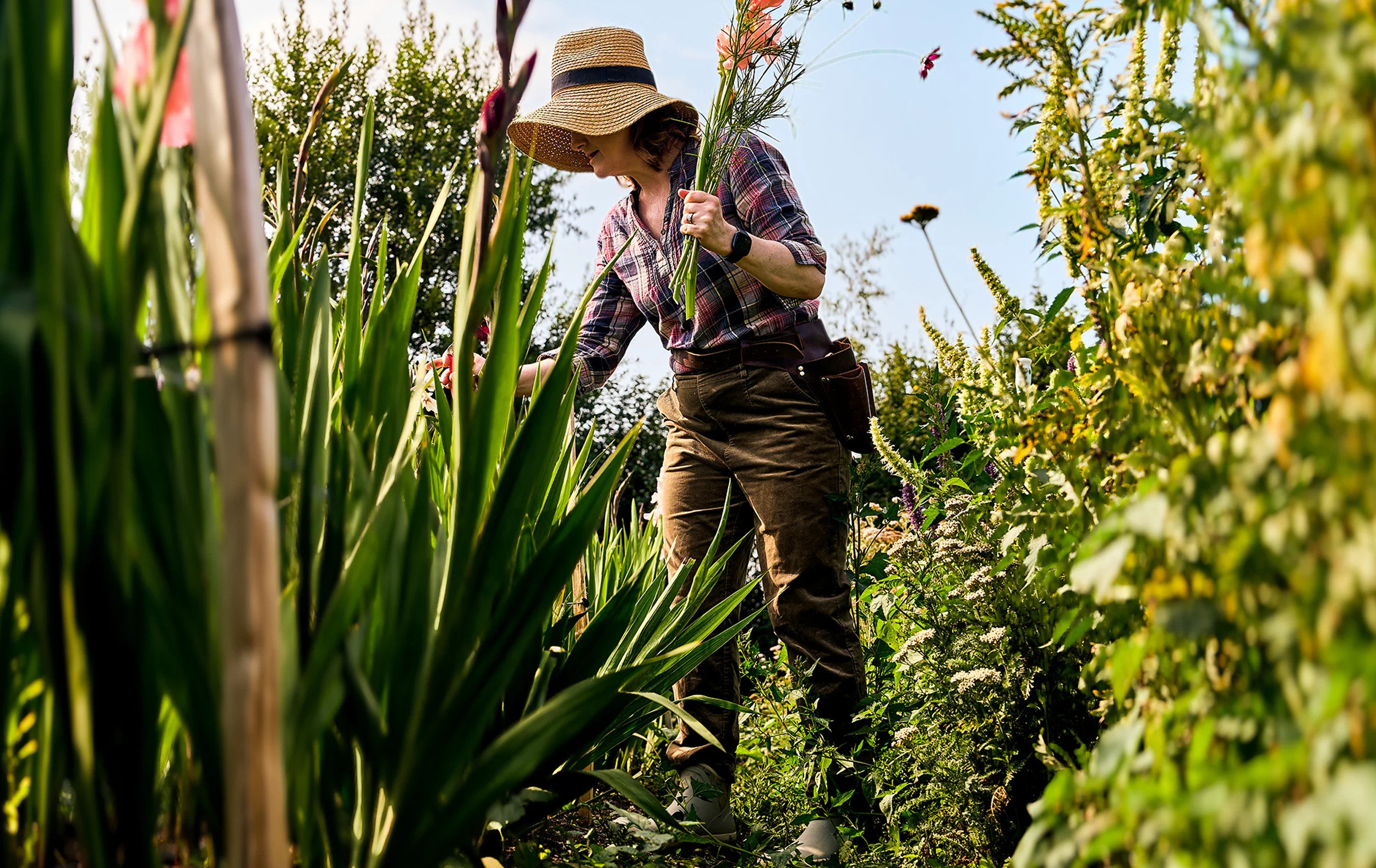 Master the Elements in Comfort