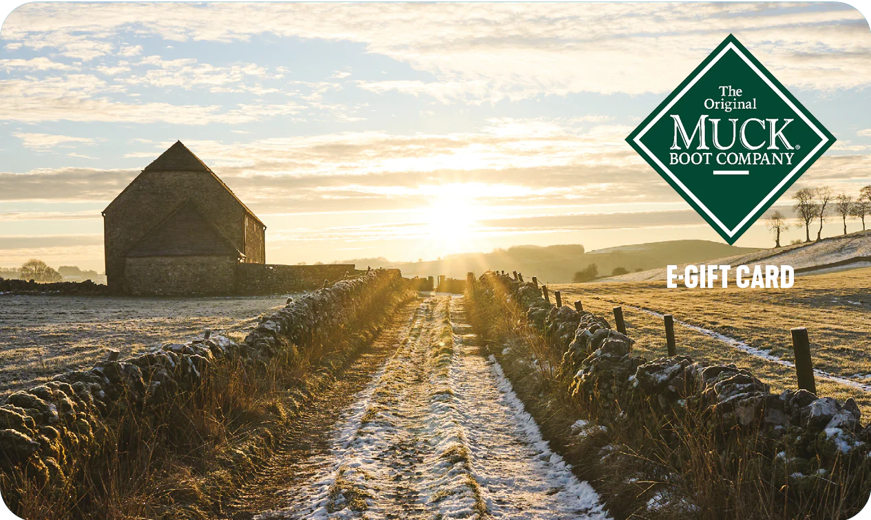 Non-discounted products - By Created Date: Newest to Oldest